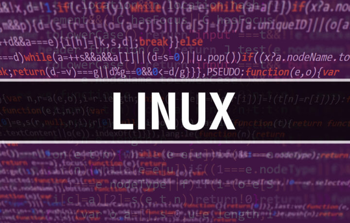 Wie verbessert Linux VPS die Online-Performance?